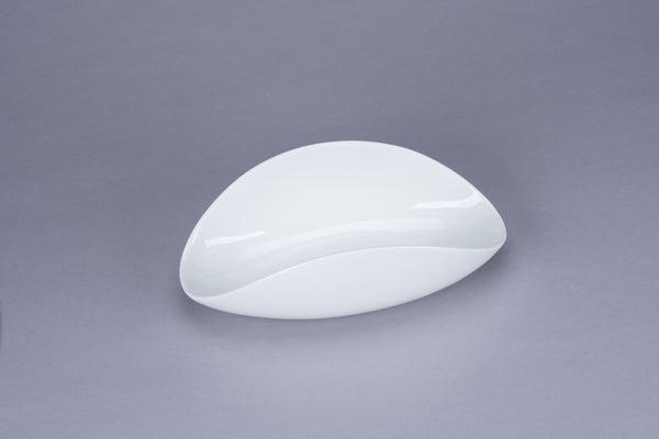 Feelings WINGED DISH