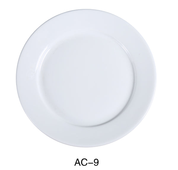 Yanco Abco Chinaware 9 1/2" PLATE