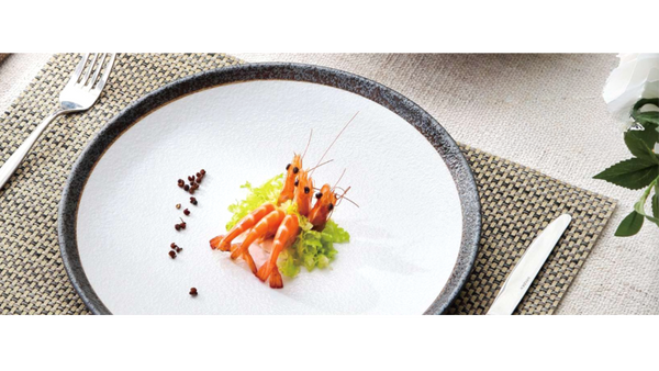 Yanco Rockeye Chinaware 10 1/4" x 7/8" COUPE SHAPE PLATE