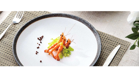 Yanco Rockeye Chinaware 10 1/4" x 7/8" COUPE SHAPE PLATE