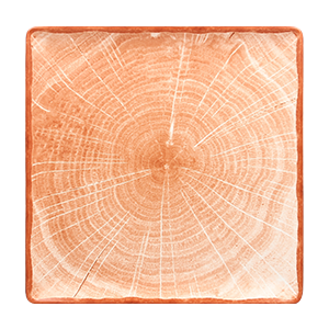 SQUARE COUPE PLATE, 11.9"L, 11.9"W, CEDAR ORANGE