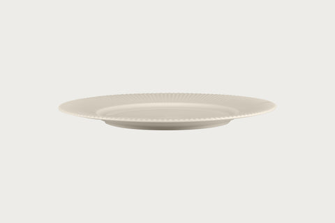 SPECTRA FLAT PLATE 12.8"_1