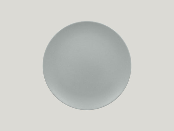 FLAT COUPE PLATE, 10.65"D, PITAYA GREY_0