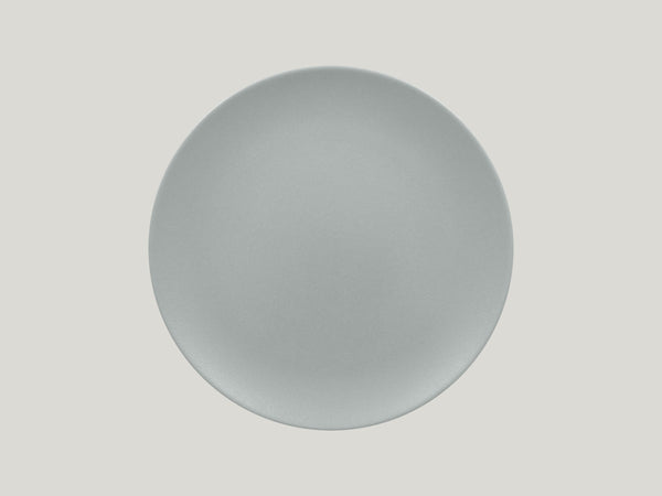 FLAT COUPE PLATE, 11.4"D, PITAYA GREY_0