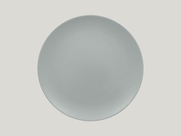 FLAT COUPE PLATE, 12.2"D, PITAYA GREY_0